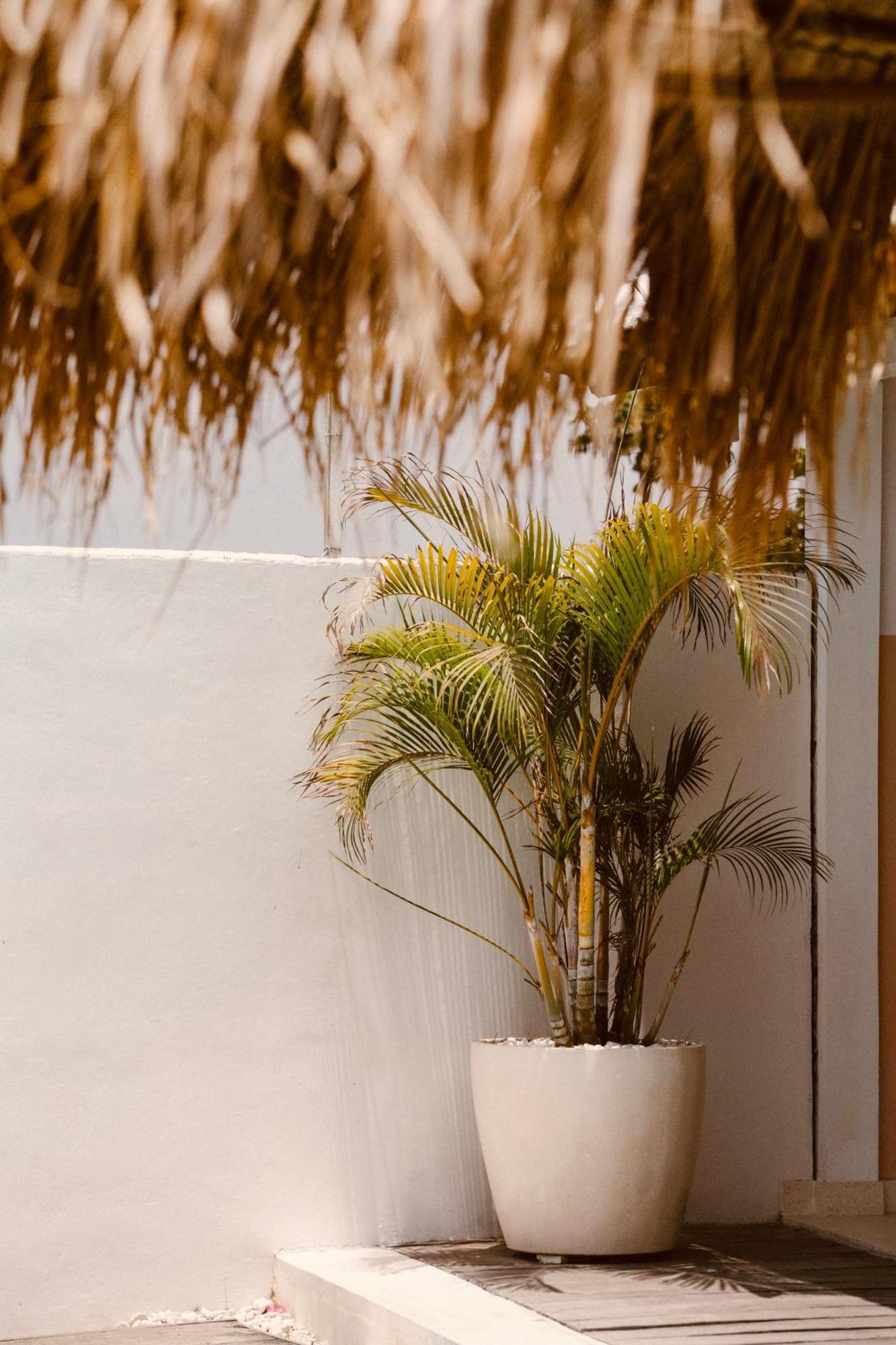 Love Song Boutique Hotel Canggu Dış mekan fotoğraf